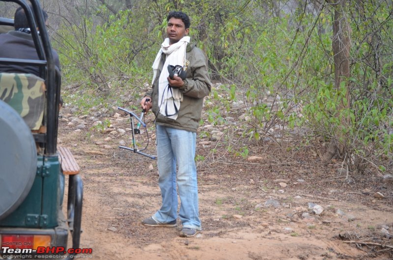 Holi Sariska! Rajasthan's Tiger Reserve-1dsc_0621.jpg