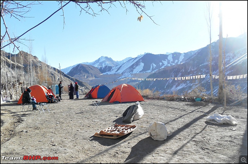 Where eagles dare: A winter sojourn to Ladakh!-dscn3698.jpg