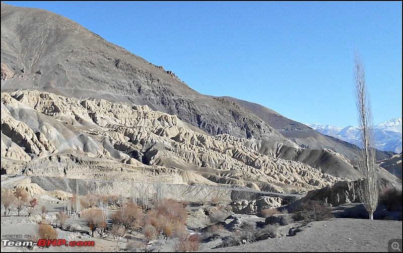 Where eagles dare: A winter sojourn to Ladakh!-dscn3714.jpg
