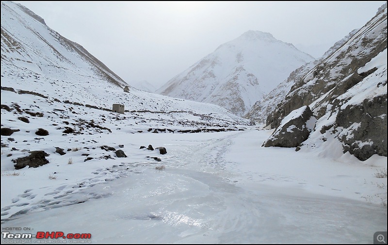 Where eagles dare: A winter sojourn to Ladakh!-dscn4001.jpg