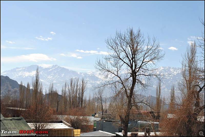 Where eagles dare: A winter sojourn to Ladakh!-dsc_0069.jpg