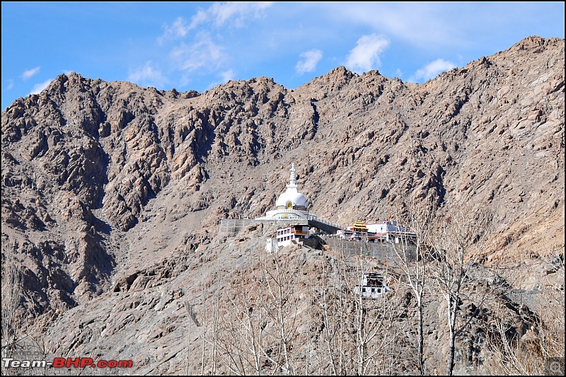 Where eagles dare: A winter sojourn to Ladakh!-dsc_0106.jpg