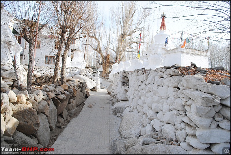 Where eagles dare: A winter sojourn to Ladakh!-dsc_0120.jpg