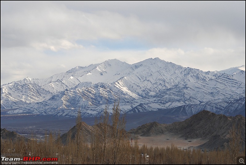 Where eagles dare: A winter sojourn to Ladakh!-dsc_0146.jpg