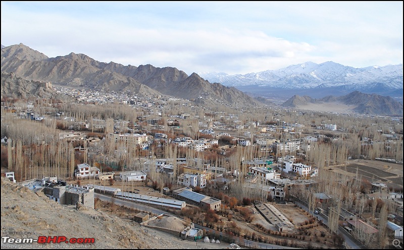 Where eagles dare: A winter sojourn to Ladakh!-dsc_0167.jpg