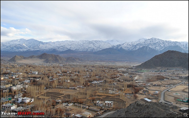 Where eagles dare: A winter sojourn to Ladakh!-dsc_0171.jpg