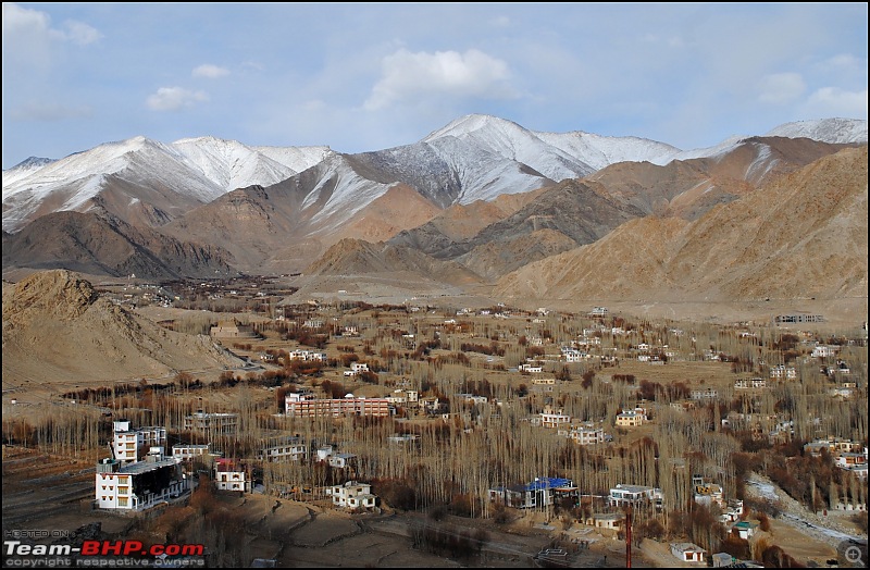 Where eagles dare: A winter sojourn to Ladakh!-dsc_0173.jpg