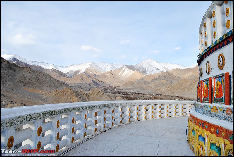 Where eagles dare: A winter sojourn to Ladakh!-dsc_0212.jpg