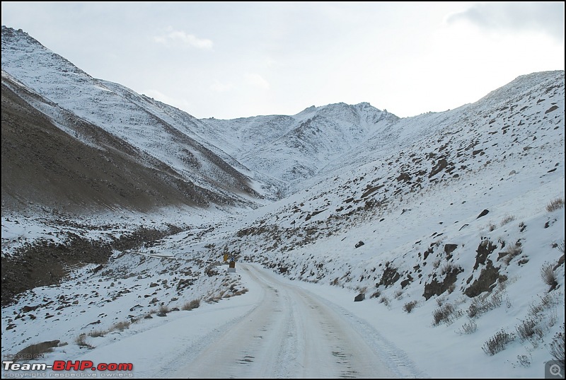 Where eagles dare: A winter sojourn to Ladakh!-dsc_0326.jpg