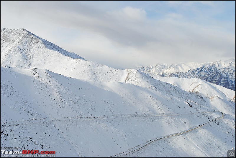 Where eagles dare: A winter sojourn to Ladakh!-dsc_0333.jpg