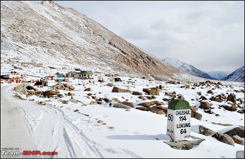 Where eagles dare: A winter sojourn to Ladakh!-dsc_0362.jpg
