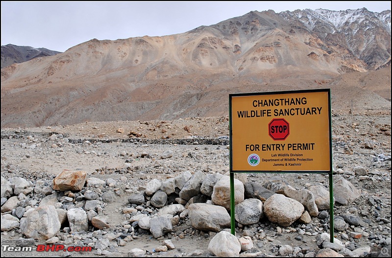 Where eagles dare: A winter sojourn to Ladakh!-dsc_0433.jpg