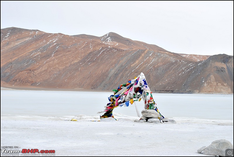 Where eagles dare: A winter sojourn to Ladakh!-dsc_0480.jpg