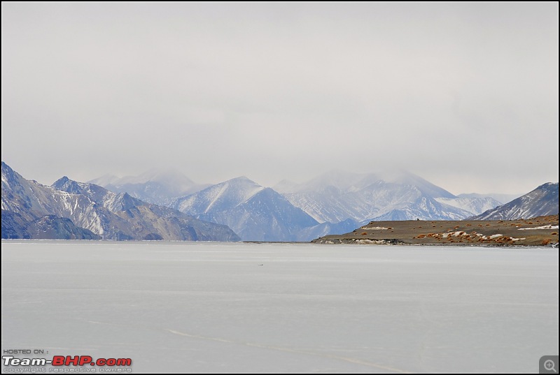 Where eagles dare: A winter sojourn to Ladakh!-dsc_0491.jpg