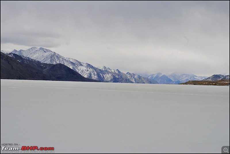 Where eagles dare: A winter sojourn to Ladakh!-dsc_0499.jpg