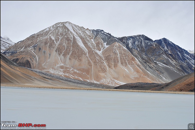Where eagles dare: A winter sojourn to Ladakh!-dsc_0501.jpg