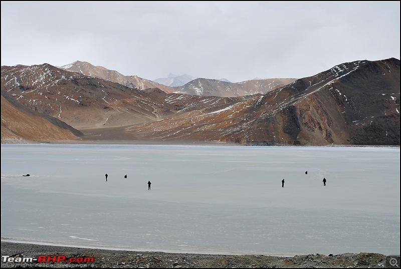 Where eagles dare: A winter sojourn to Ladakh!-dsc_0516.jpg