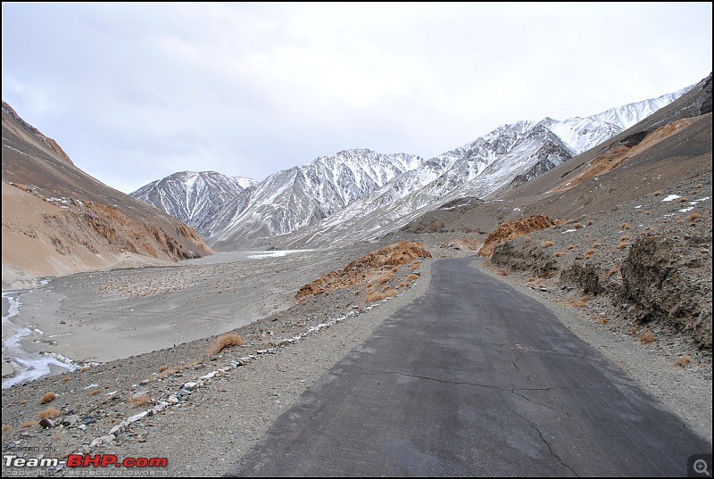 Where eagles dare: A winter sojourn to Ladakh!-dsc_0559.jpg