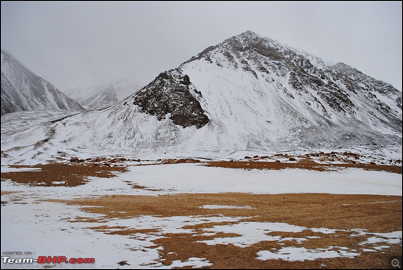 Where eagles dare: A winter sojourn to Ladakh!-dsc_0591.jpg