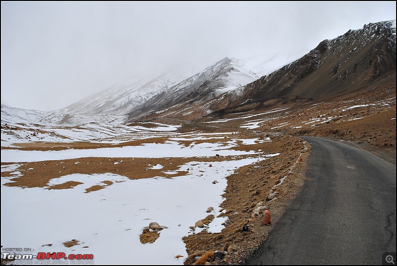 Where eagles dare: A winter sojourn to Ladakh!-dsc_0593.jpg