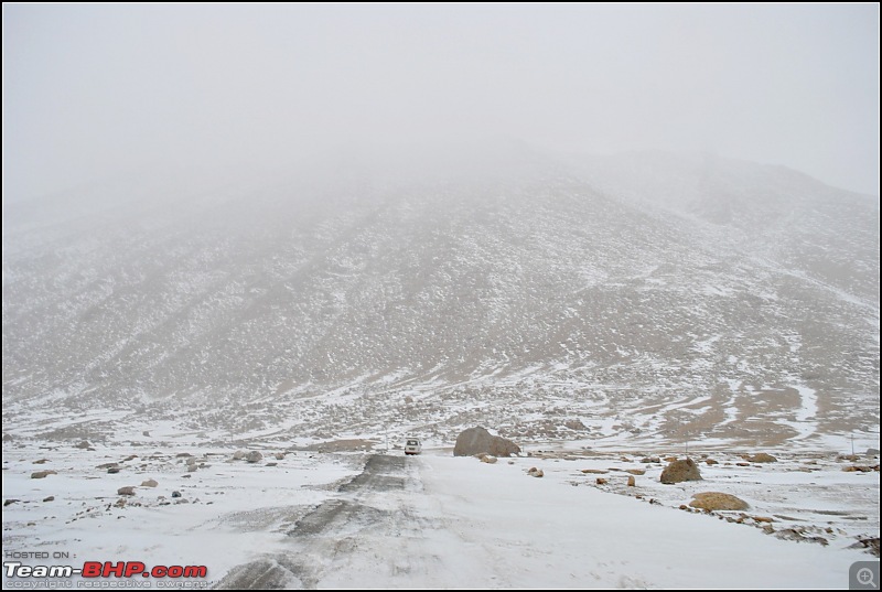 Where eagles dare: A winter sojourn to Ladakh!-dsc_0597.jpg