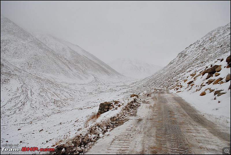 Where eagles dare: A winter sojourn to Ladakh!-dsc_0629.jpg