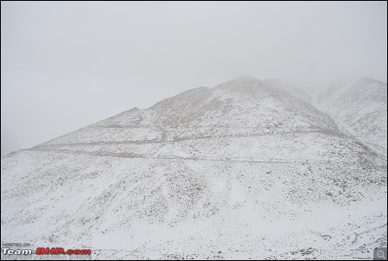 Where eagles dare: A winter sojourn to Ladakh!-dsc_0632.jpg