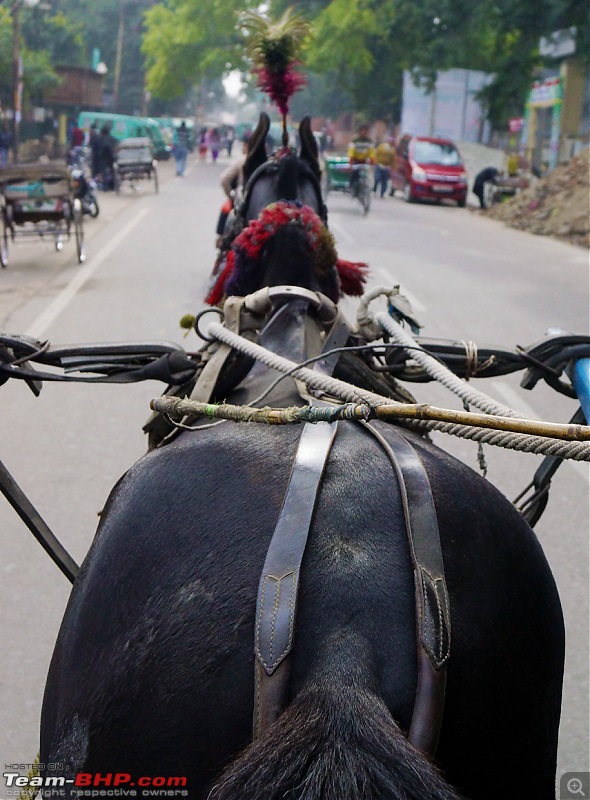 A trip to Lucknow - Janab muskuraie, kyunki aap Lucknow mein hain-dsc01277sm.jpg