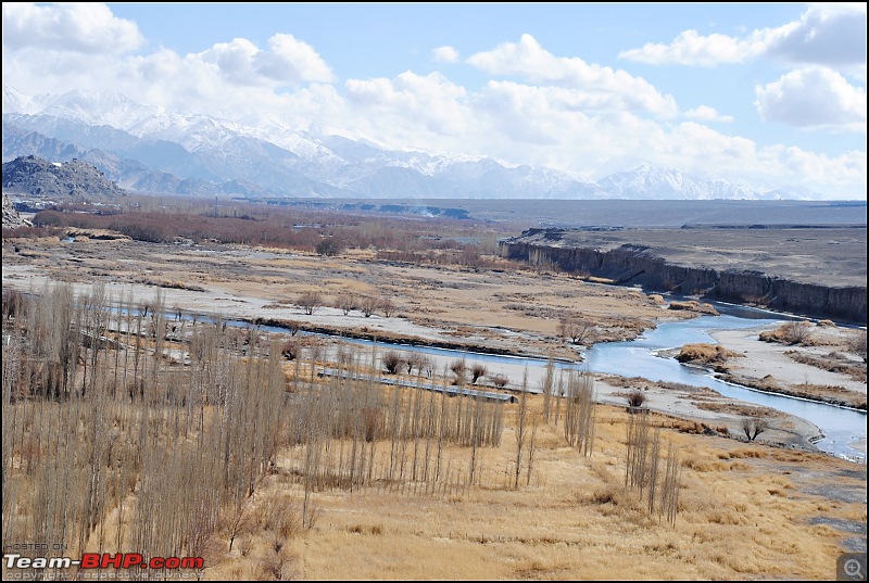 Where eagles dare: A winter sojourn to Ladakh!-dsc_0760.jpg