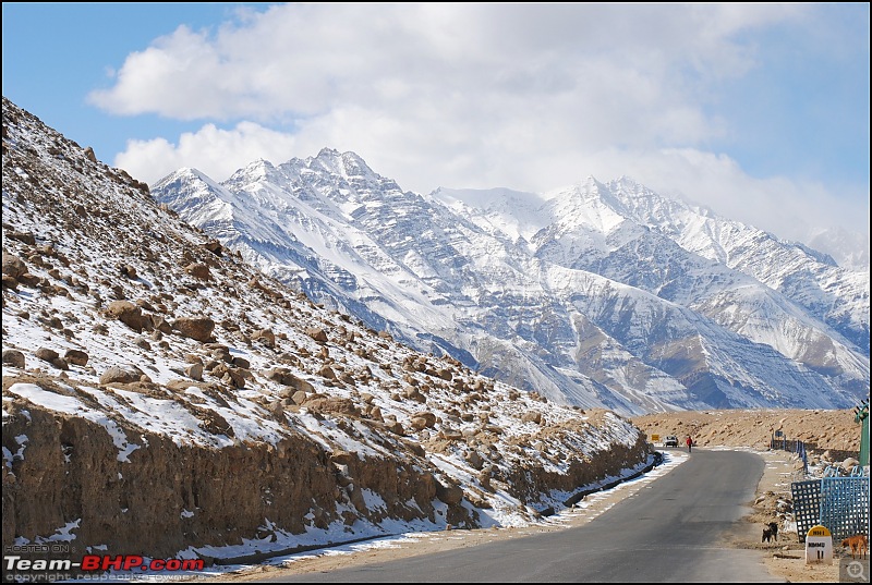 Where eagles dare: A winter sojourn to Ladakh!-dsc_0797.jpg