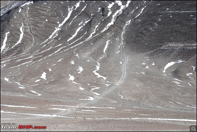 Where eagles dare: A winter sojourn to Ladakh!-dsc_0853.jpg