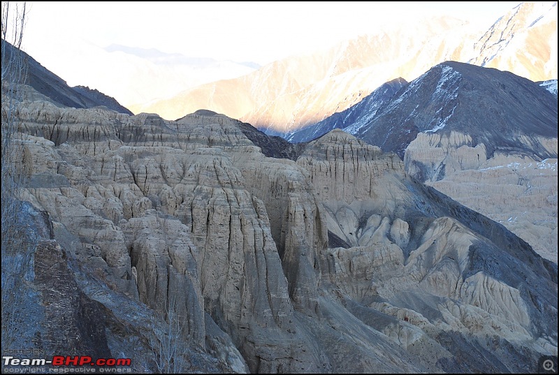 Where eagles dare: A winter sojourn to Ladakh!-dsc_0143-2.jpg