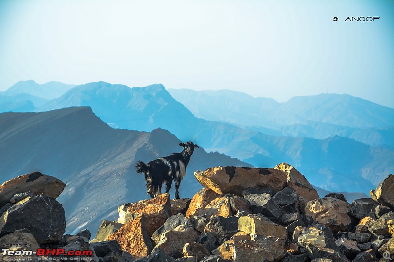 Voyage: Solo diaries, Jebel Al Jais (UAE) in a VW Golf-tn_dsc_0110.jpg