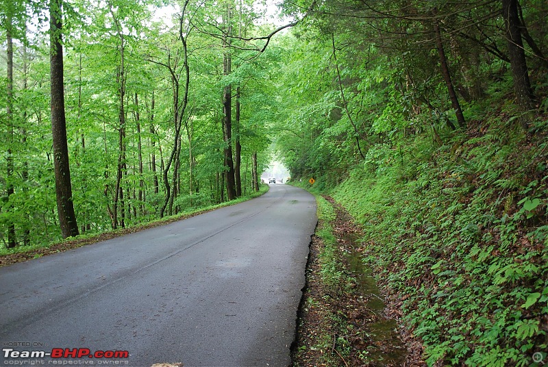 11 miles - 318 curves - Welcome to Tail of the Dragon-dsc_0313.jpg