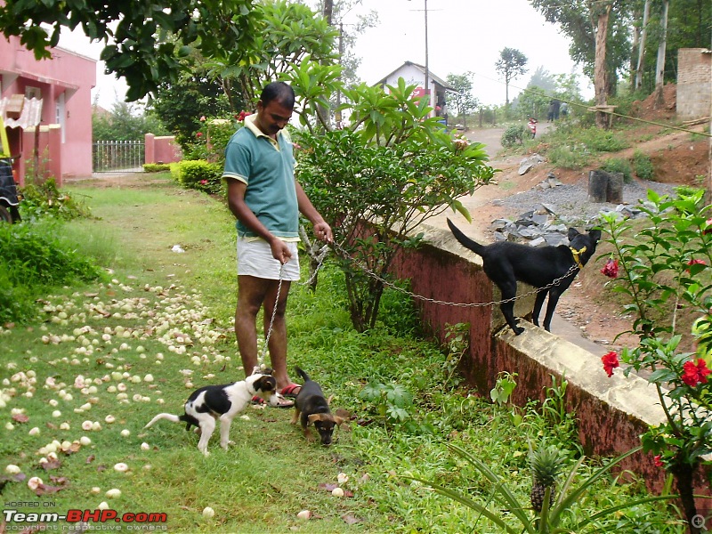 Weekend Coorg Trip: 2 States, 75 Hours, 2050 Kms-p5090033.jpg