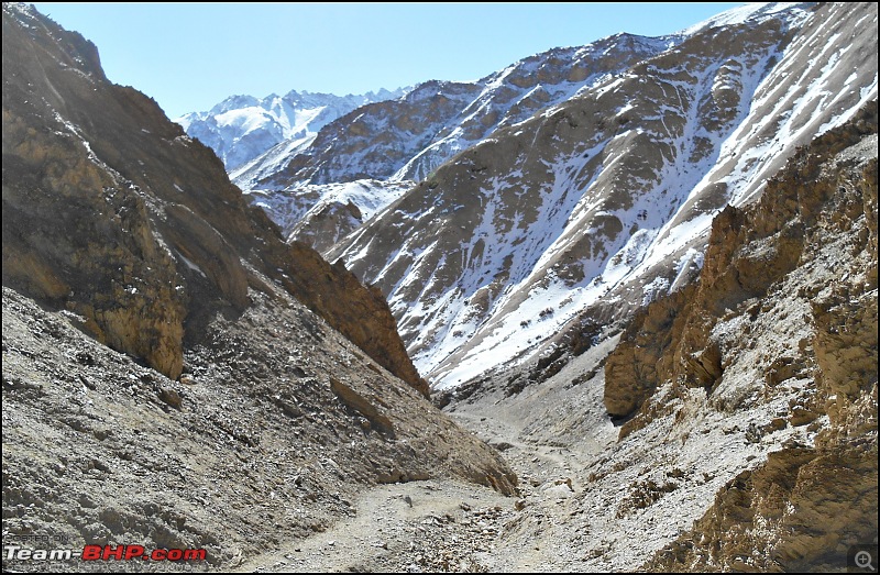 Where eagles dare: A winter sojourn to Ladakh!-dscn3737.jpg