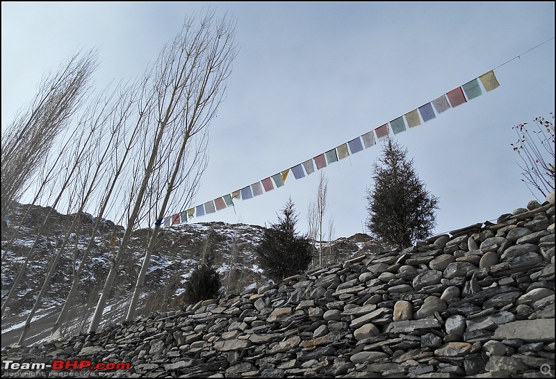 Where eagles dare: A winter sojourn to Ladakh!-dscn3825.jpg