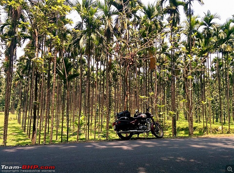 4 days & 1470 kms - Biking across Karnataka & Kerala-1798686_10152768941262596_8917836031072816554_n.jpg