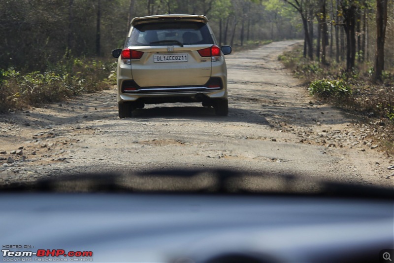 Honda Mobilio Drive: 36 Hairpins, Bandipur Tiger Reserve & Namdroling Monastery-_mg_3746.jpg