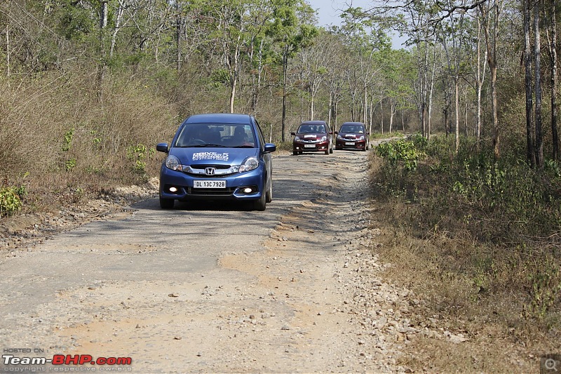 Honda Mobilio Drive: 36 Hairpins, Bandipur Tiger Reserve & Namdroling Monastery-_mg_3749.jpg