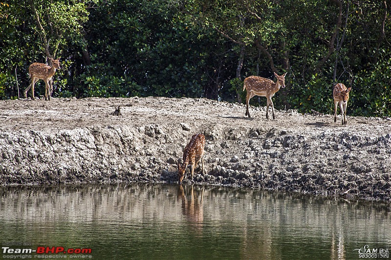 West Bengal - A treasure for tourists-img_6656.jpg