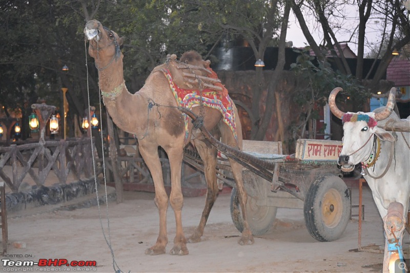 Chomu, Jaipur - Relaxation guaranteed-dsc_1671.jpg