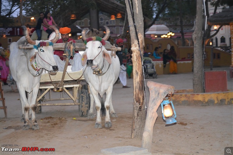 Chomu, Jaipur - Relaxation guaranteed-dsc_1672.jpg