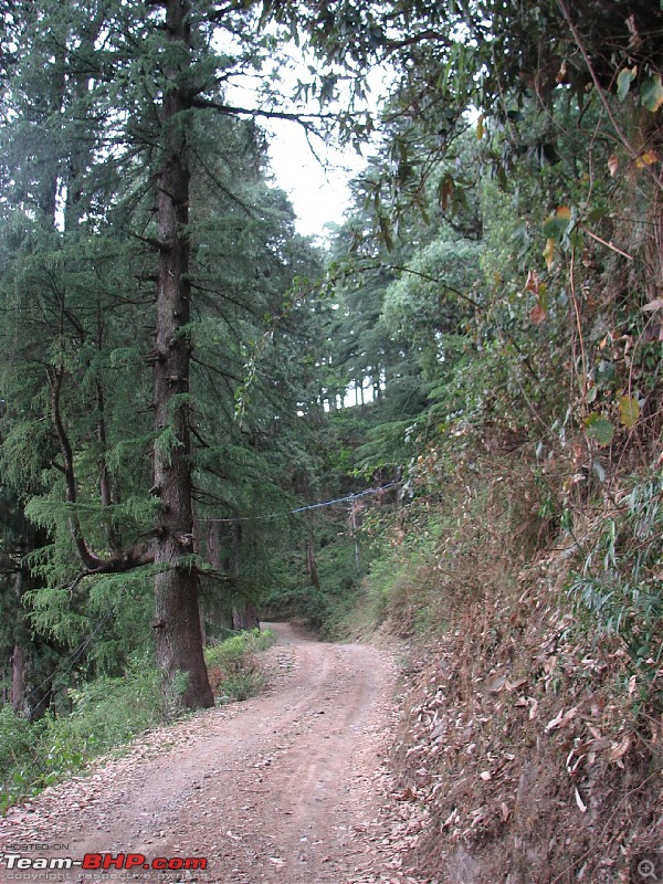 Chakrata, Kanasar, Renuka Lake - 978 kms on a weekend!-uktripmay09_280.jpg