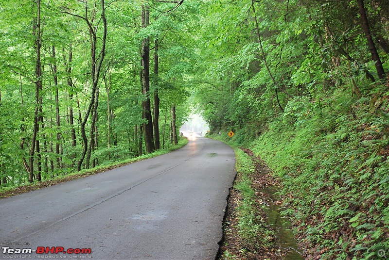 11 miles - 318 curves - Welcome to Tail of the Dragon-dsc_0314.jpg