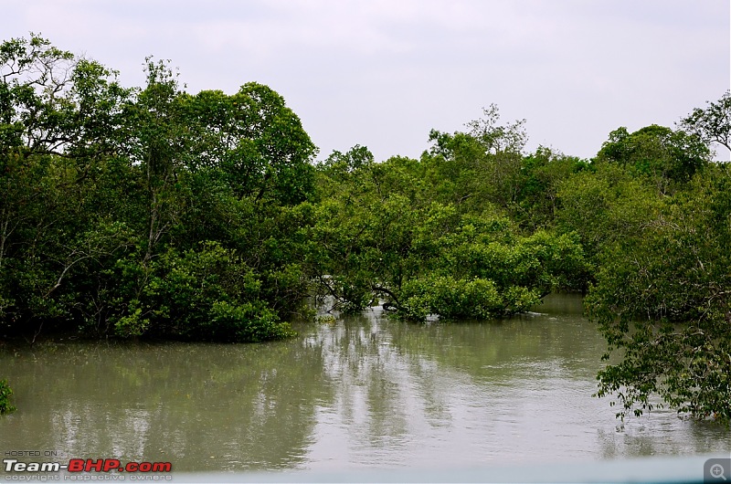 West Bengal - A treasure for tourists-dsc_1665.jpg