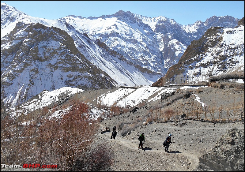 Where eagles dare: A winter sojourn to Ladakh!-dscn3899.jpg