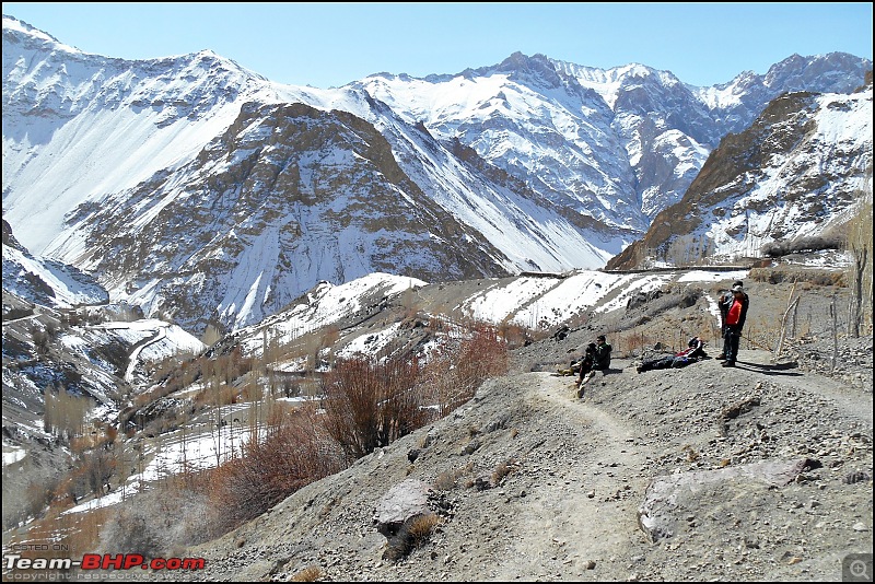 Where eagles dare: A winter sojourn to Ladakh!-dscn3904.jpg