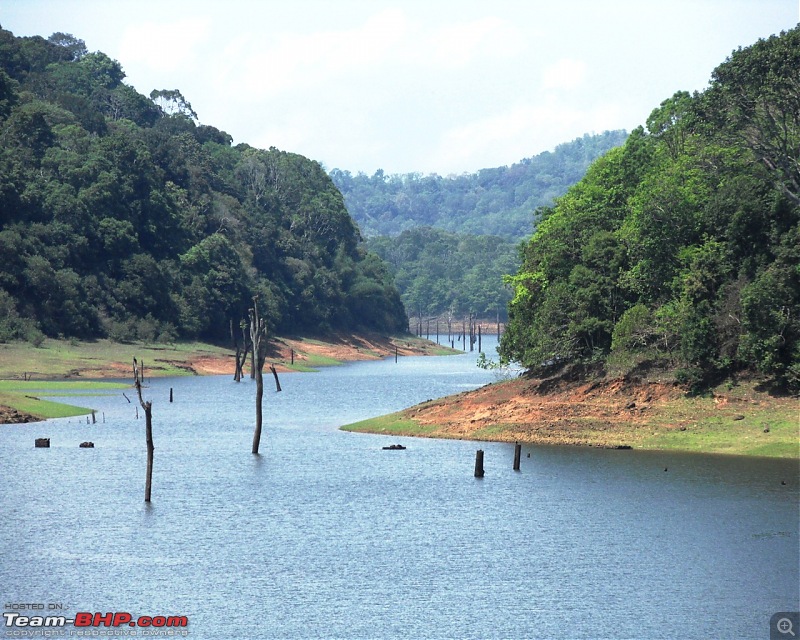 Photologue: Thekkady & Munnar-sdc16176.jpg