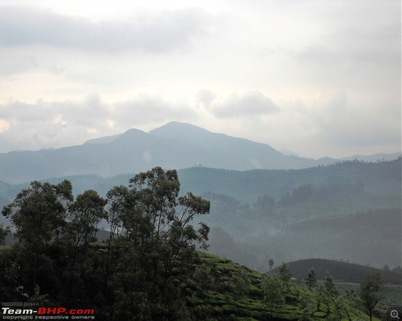 Photologue: Thekkady & Munnar-sdc16282.jpg